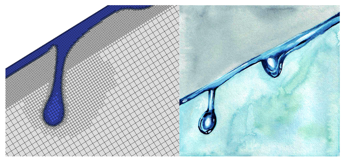 Dripping liquid film on the underside of an inclined plane (left - DNS, right - watercolor illustration).